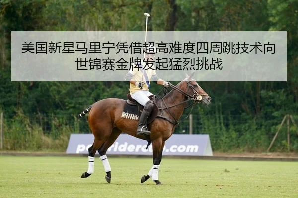 mei-guo-xin-xing-ma-li-ning-ping-jie-chao-gao-nan-du-si-zhou-tiao-ji-shu-xiang-shi-jin-sai-jin-pai-fa-qi-meng-lie-tiao-2-594.jpg